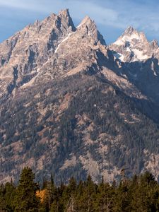 Preview wallpaper mountain, peak, trees, slope, landscape