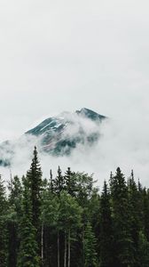 Preview wallpaper mountain, peak, trees, clouds, nature