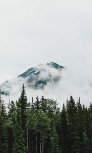 Preview wallpaper mountain, peak, trees, clouds, nature