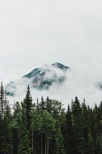 Preview wallpaper mountain, peak, trees, clouds, nature