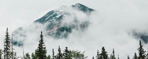 Preview wallpaper mountain, peak, trees, clouds, nature