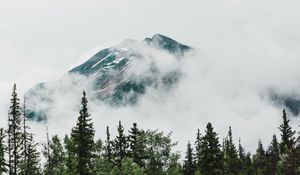 Preview wallpaper mountain, peak, trees, clouds, nature