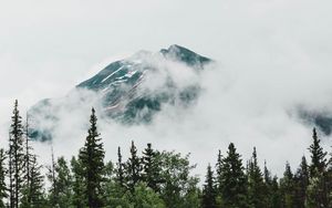 Preview wallpaper mountain, peak, trees, clouds, nature