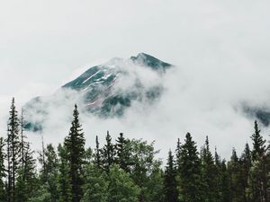 Preview wallpaper mountain, peak, trees, clouds, nature