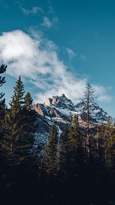 Preview wallpaper mountain, peak, trees, cloud, nature