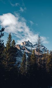 Preview wallpaper mountain, peak, trees, cloud, nature