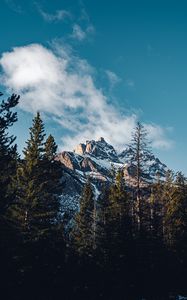 Preview wallpaper mountain, peak, trees, cloud, nature