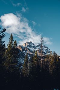 Preview wallpaper mountain, peak, trees, cloud, nature