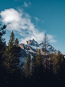 Preview wallpaper mountain, peak, trees, cloud, nature