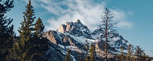 Preview wallpaper mountain, peak, trees, cloud, nature