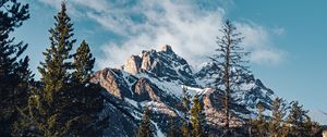 Preview wallpaper mountain, peak, trees, cloud, nature