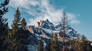 Preview wallpaper mountain, peak, trees, cloud, nature