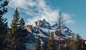 Preview wallpaper mountain, peak, trees, cloud, nature