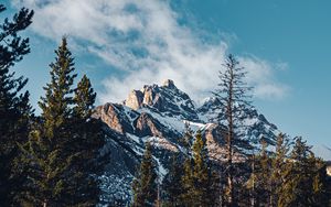 Preview wallpaper mountain, peak, trees, cloud, nature