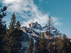 Preview wallpaper mountain, peak, trees, cloud, nature