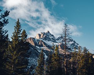 Preview wallpaper mountain, peak, trees, cloud, nature