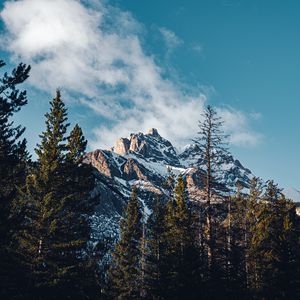 Preview wallpaper mountain, peak, trees, cloud, nature