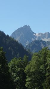 Preview wallpaper mountain, peak, trees, fog, landscape