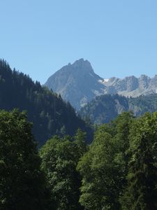 Preview wallpaper mountain, peak, trees, fog, landscape