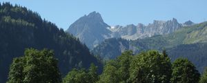 Preview wallpaper mountain, peak, trees, fog, landscape