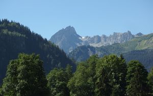 Preview wallpaper mountain, peak, trees, fog, landscape