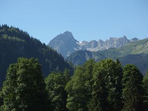 Preview wallpaper mountain, peak, trees, fog, landscape