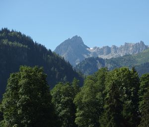 Preview wallpaper mountain, peak, trees, fog, landscape