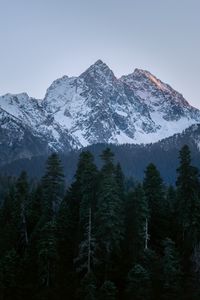 Preview wallpaper mountain, peak, trees, pines, landscape