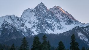 Preview wallpaper mountain, peak, trees, pines, landscape