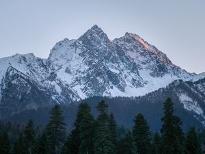 Preview wallpaper mountain, peak, trees, pines, landscape