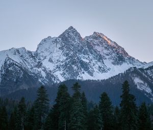 Preview wallpaper mountain, peak, trees, pines, landscape