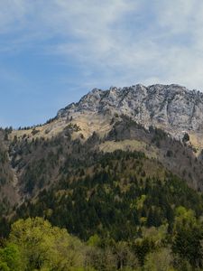 Preview wallpaper mountain, peak, trees, forest, landscape