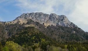 Preview wallpaper mountain, peak, trees, forest, landscape