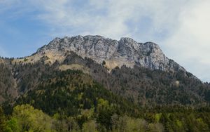 Preview wallpaper mountain, peak, trees, forest, landscape