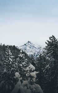 Preview wallpaper mountain, peak, trees, snow, landscape, winter