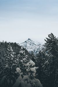 Preview wallpaper mountain, peak, trees, snow, landscape, winter