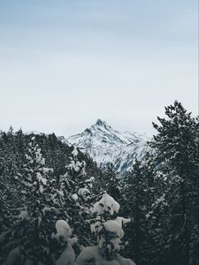 Preview wallpaper mountain, peak, trees, snow, landscape, winter