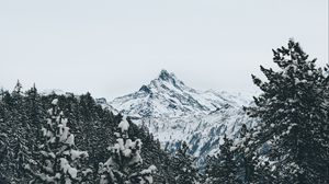 Preview wallpaper mountain, peak, trees, snow, landscape, winter