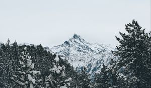 Preview wallpaper mountain, peak, trees, snow, landscape, winter