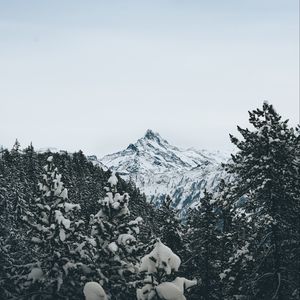 Preview wallpaper mountain, peak, trees, snow, landscape, winter