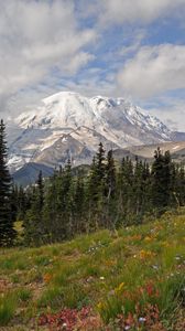 Preview wallpaper mountain, peak, trees, landscape, nature