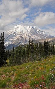 Preview wallpaper mountain, peak, trees, landscape, nature