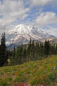 Preview wallpaper mountain, peak, trees, landscape, nature