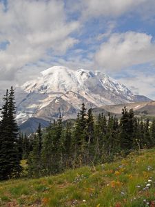 Preview wallpaper mountain, peak, trees, landscape, nature