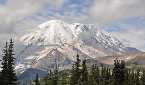 Preview wallpaper mountain, peak, trees, landscape, nature