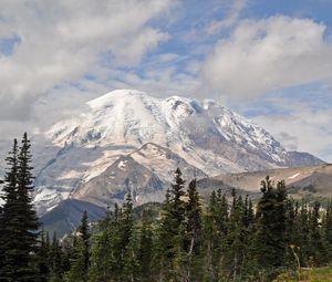 Preview wallpaper mountain, peak, trees, landscape, nature