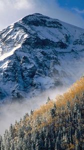 Preview wallpaper mountain, peak, trees, slope, fog, tops, autumn, day