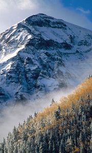 Preview wallpaper mountain, peak, trees, slope, fog, tops, autumn, day