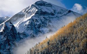 Preview wallpaper mountain, peak, trees, slope, fog, tops, autumn, day