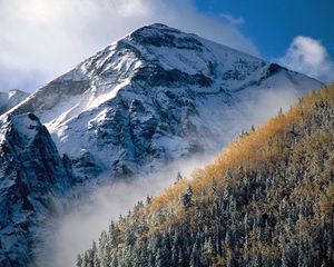 Preview wallpaper mountain, peak, trees, slope, fog, tops, autumn, day